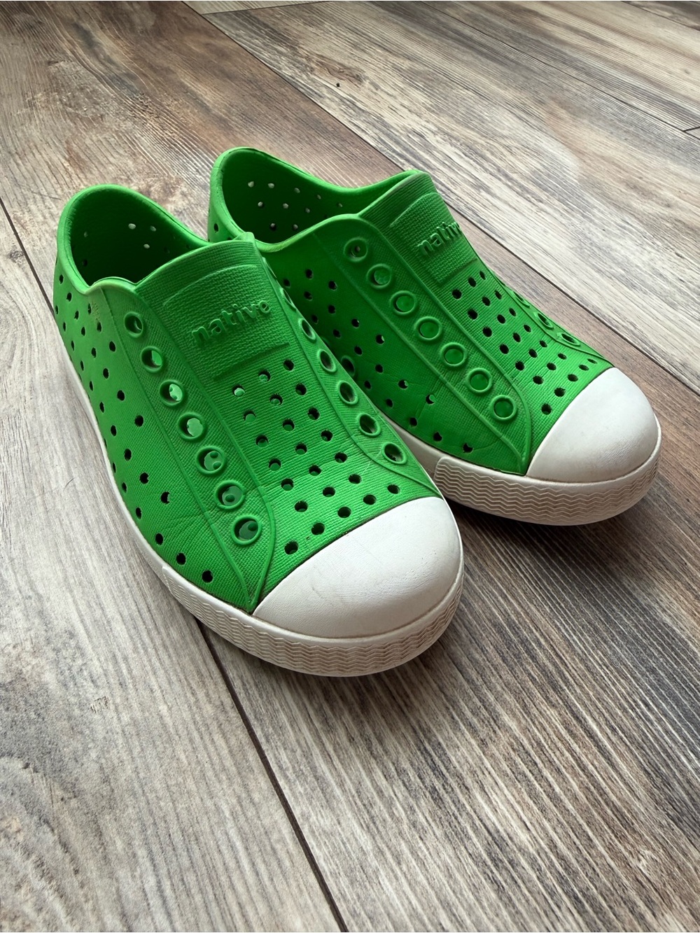Native Jefferson Grasshopper Green C9